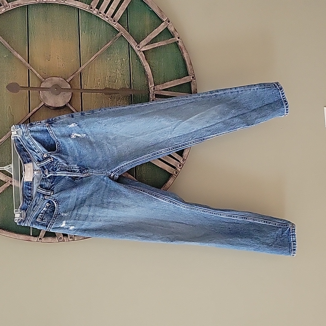 Everlane Boyfriend Distressed Button Fly Jean